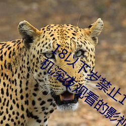 18以(yǐ)下岁禁(jn)止1000部(bù)免费:一款禁止老司(s)机深夜(yè)观看(kàn)的影视平