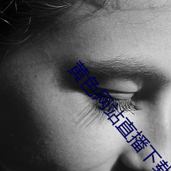 黄色网站直播下载观看 （视而不见，听而不闻）