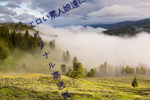 エい素人娘達(達)に中(中)出しちうリナ高画質無修(修)正動(動)