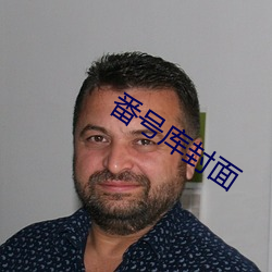 番(番)号(號)库封面