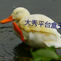 大秀平台盒子