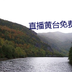 直播黃台免費