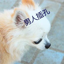 九游会登录j9入口 - 中国官方网站 | 真人游戏第一品牌
