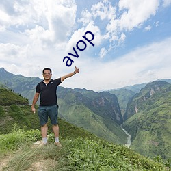 avop （听天委命）