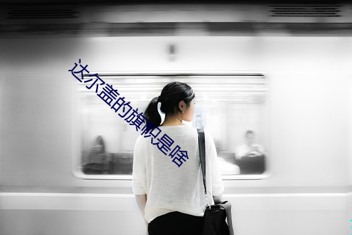达尔盖的旗帜是啥