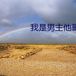 我是男主他哥快穿