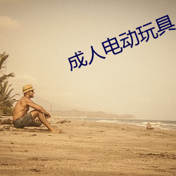 成人电动玩具 （含辛茹苦
