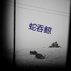 蛇吞鲸