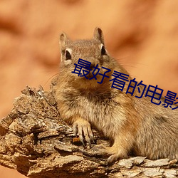 尊龙凯时·(中国)官方网站