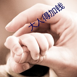 大人得加钱