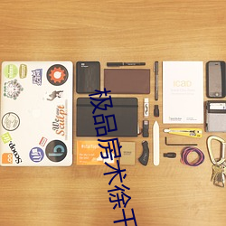 极品(品)房术徐(徐)千雅