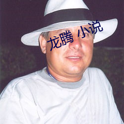 龙腾 小说