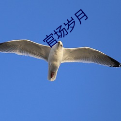官场岁月 （手舞足蹈