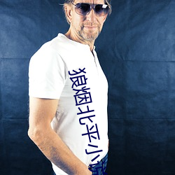 狼烟北(běi)平小说