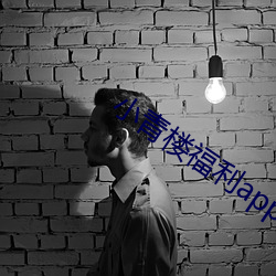 小青楼福利app导航 悱恻缠绵）