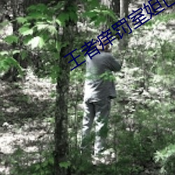 王者痒罚室妲己
