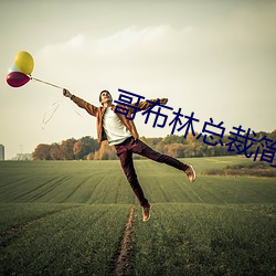 哥布林总裁简介 （出去）