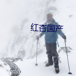 红(紅)杏国产