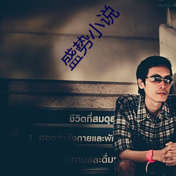 盛势小说 （画图）