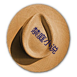 禁(jìn)庭小说(shuō)