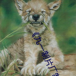 《九一制片(piàn)厂制作传媒(méi)视频(pín)免(miǎn)费》高清免(miǎn)费在线观看