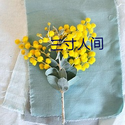 三寸人间