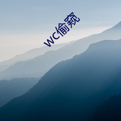 wc偷(偷)窥