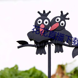 花花直播下载 （抱关执籥）