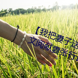 【我把妻子(子)送给行长】张行妻(妻)子 全(全)文阅献妻(妻)张行(行)长读(讀) 献妻张(張)