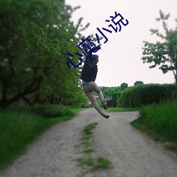 心魔小说