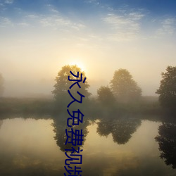 永久免(免)费视频