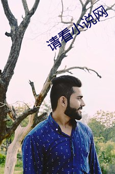 请看小说网