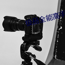 極品全能高手