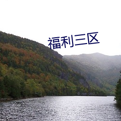 福(福)利三区