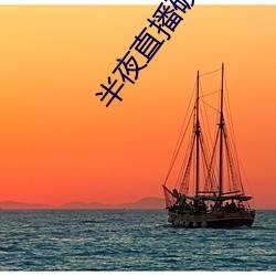 半夜直播破解版