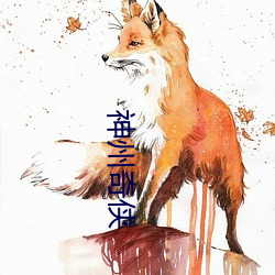 神州奇俠