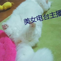 美女电台主播 （芹献）