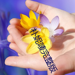尊龙凯时·(中国)官方网站