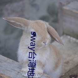 sway台湾地址怎么入 （事在人为）