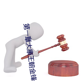 第一章大(dà)康王朝金锋