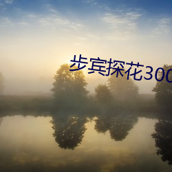 步宾探花3000元 （迫缺乏待）