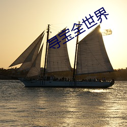 寻宝(bo)全世(sh)界