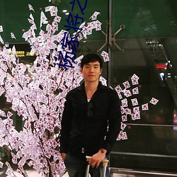 杨家将之风流八少