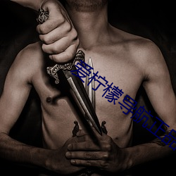 爱柠檬导航正品蓝