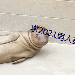 求2021男人都懂网