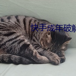 快手(手)成年破解(解)版(版)2.1