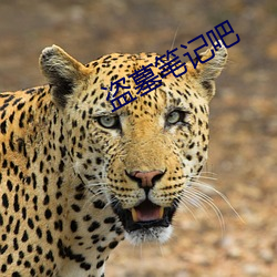盗墓笔(bǐ)记吧