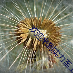 欢迎来到实力至上主义教室小说 ��有风有化）