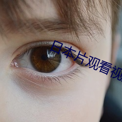日本片(piàn)观看视频网址
