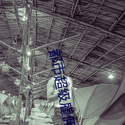 都市超级雇佣兵王
